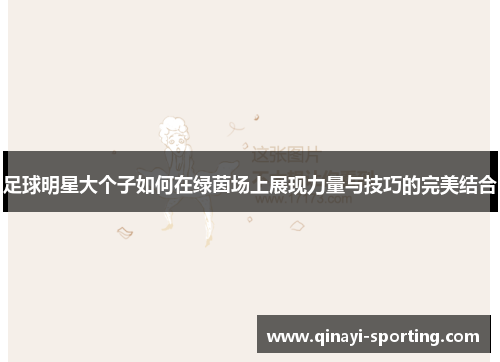 足球明星大个子如何在绿茵场上展现力量与技巧的完美结合