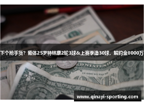 下个抢手货？葡体25岁特林康2轮3球&上赛季造30球，解约金8000万